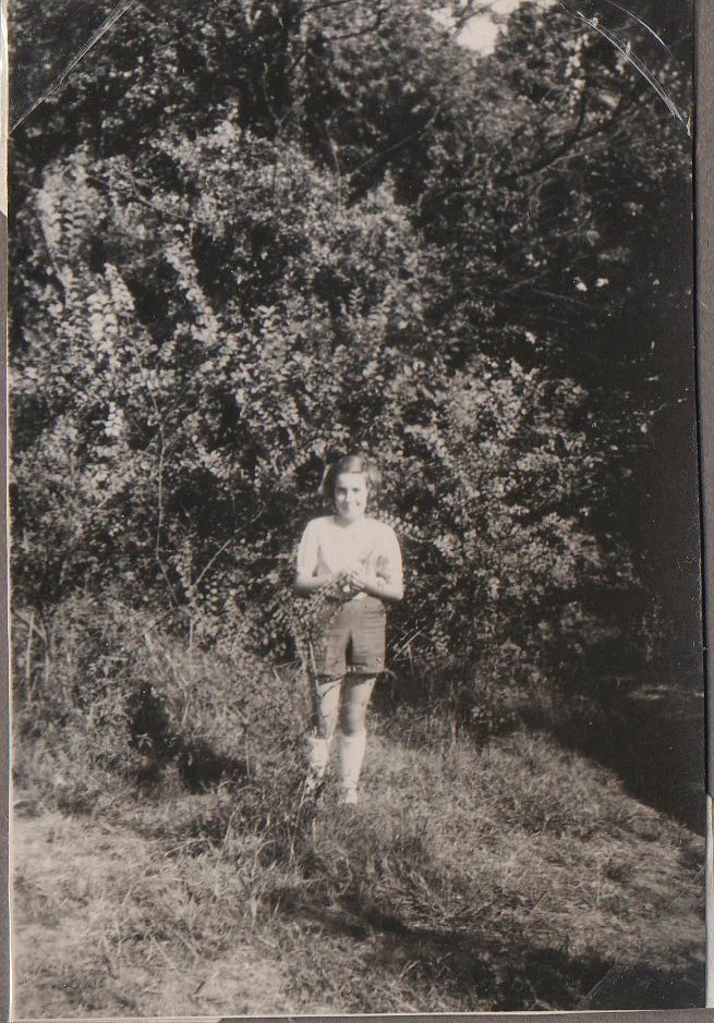 45-008