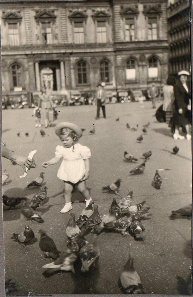 pigeons001