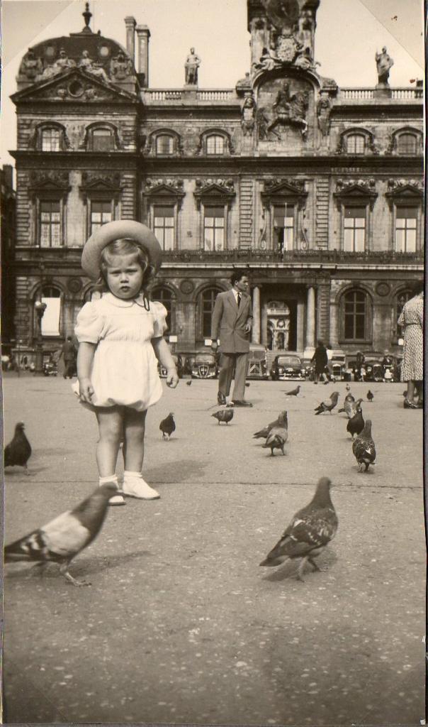 pigeons52001